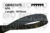 QUINTON HAZELL QBR61975 V-Ribbed Belts